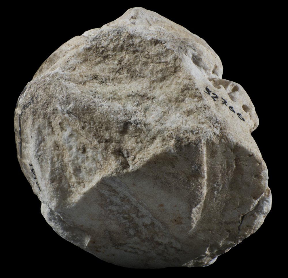 Inv 52766_03.jpg