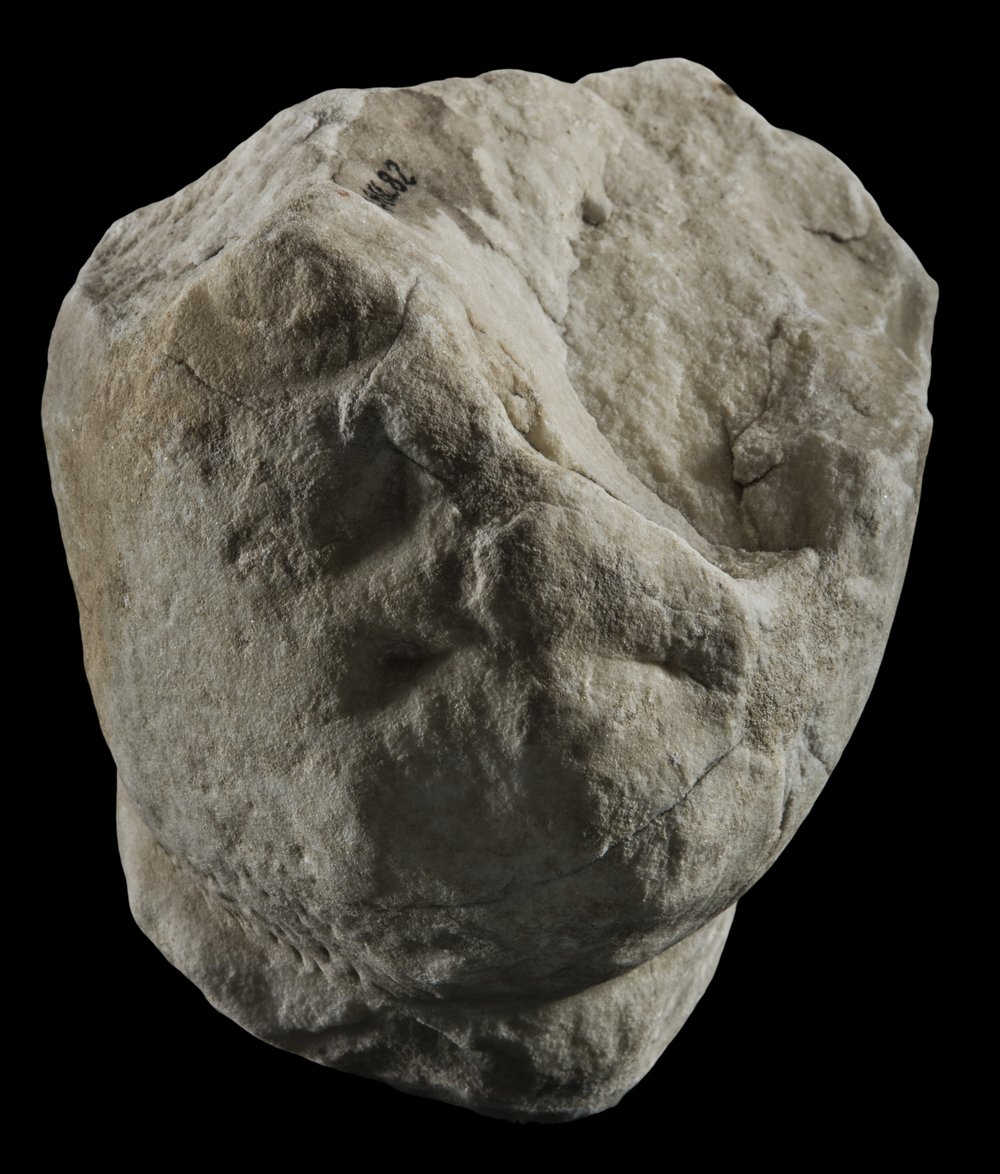 Inv 486482_00.jpg