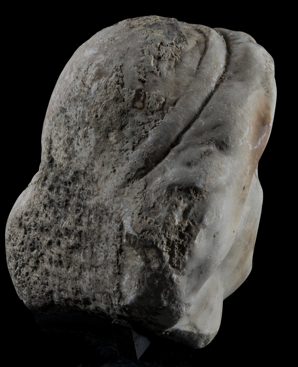 Inv 486717_03.jpg