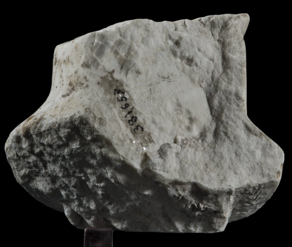 Inv 381657_03.jpg