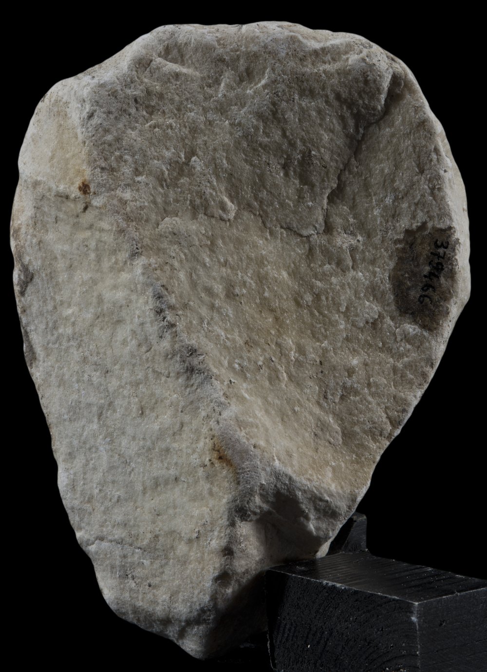 Inv 379466_05.jpg
