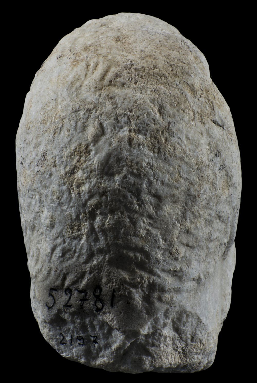Inv 52781_04.jpg