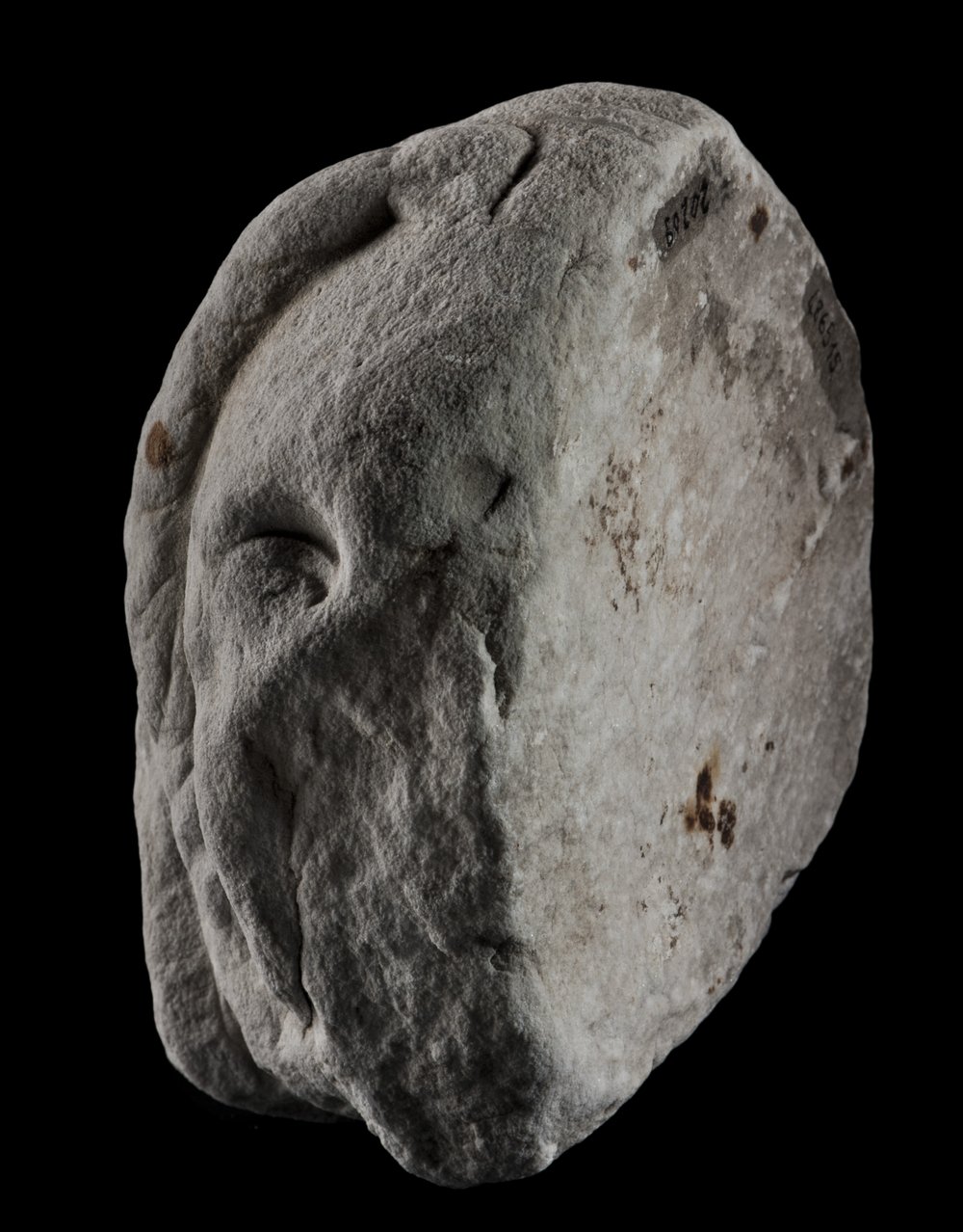 Inv 486515_01.jpg