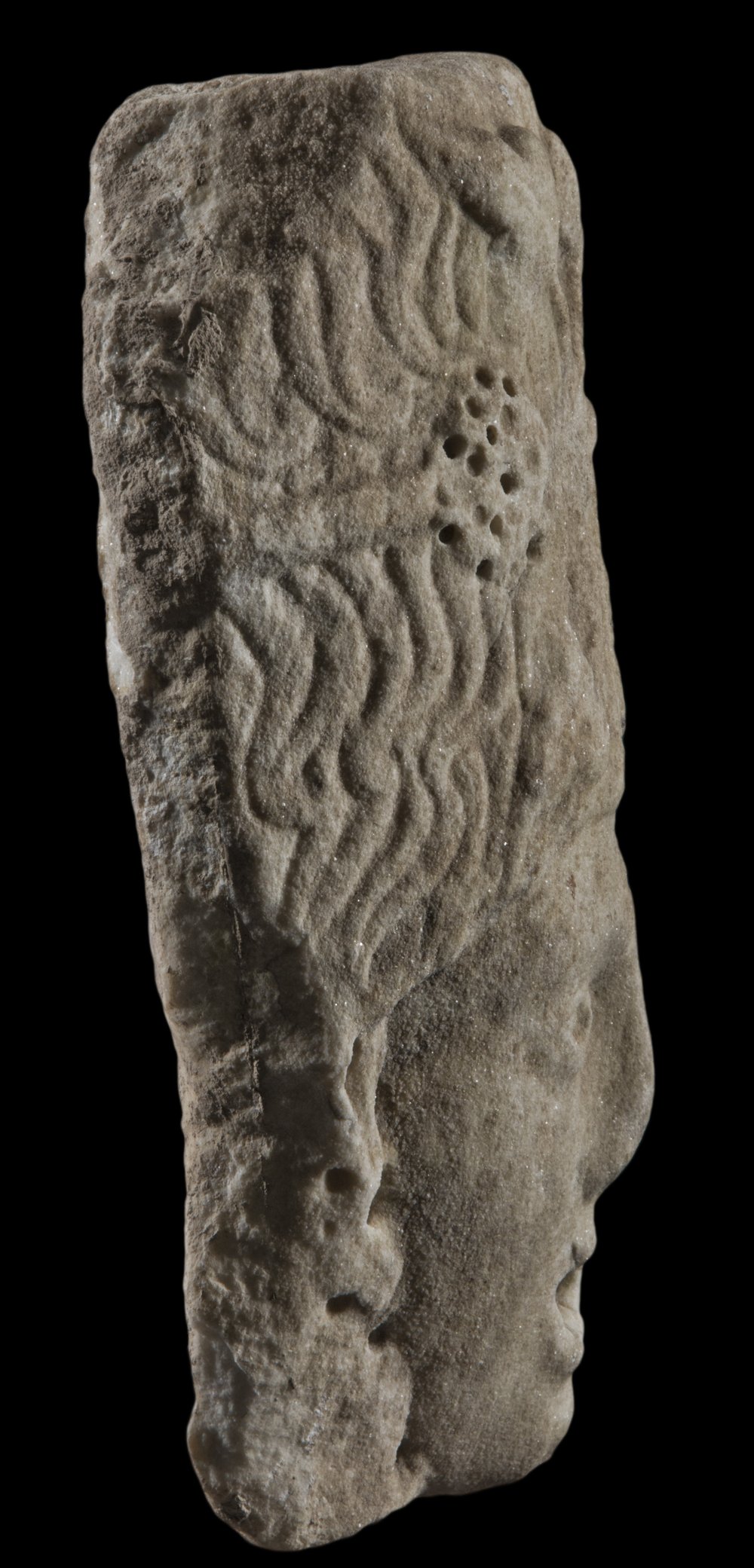 Inv 12481_02.jpg