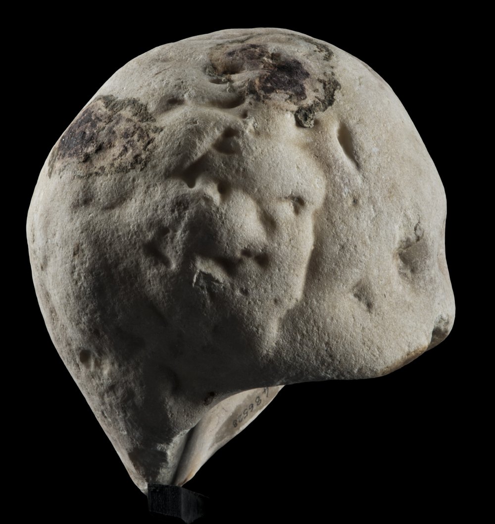 Inv 486528_03.jpg