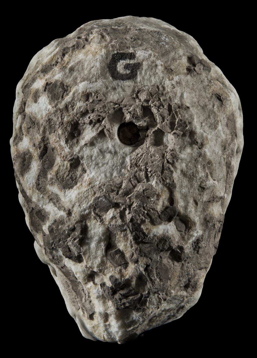 Inv 373621_03.jpg