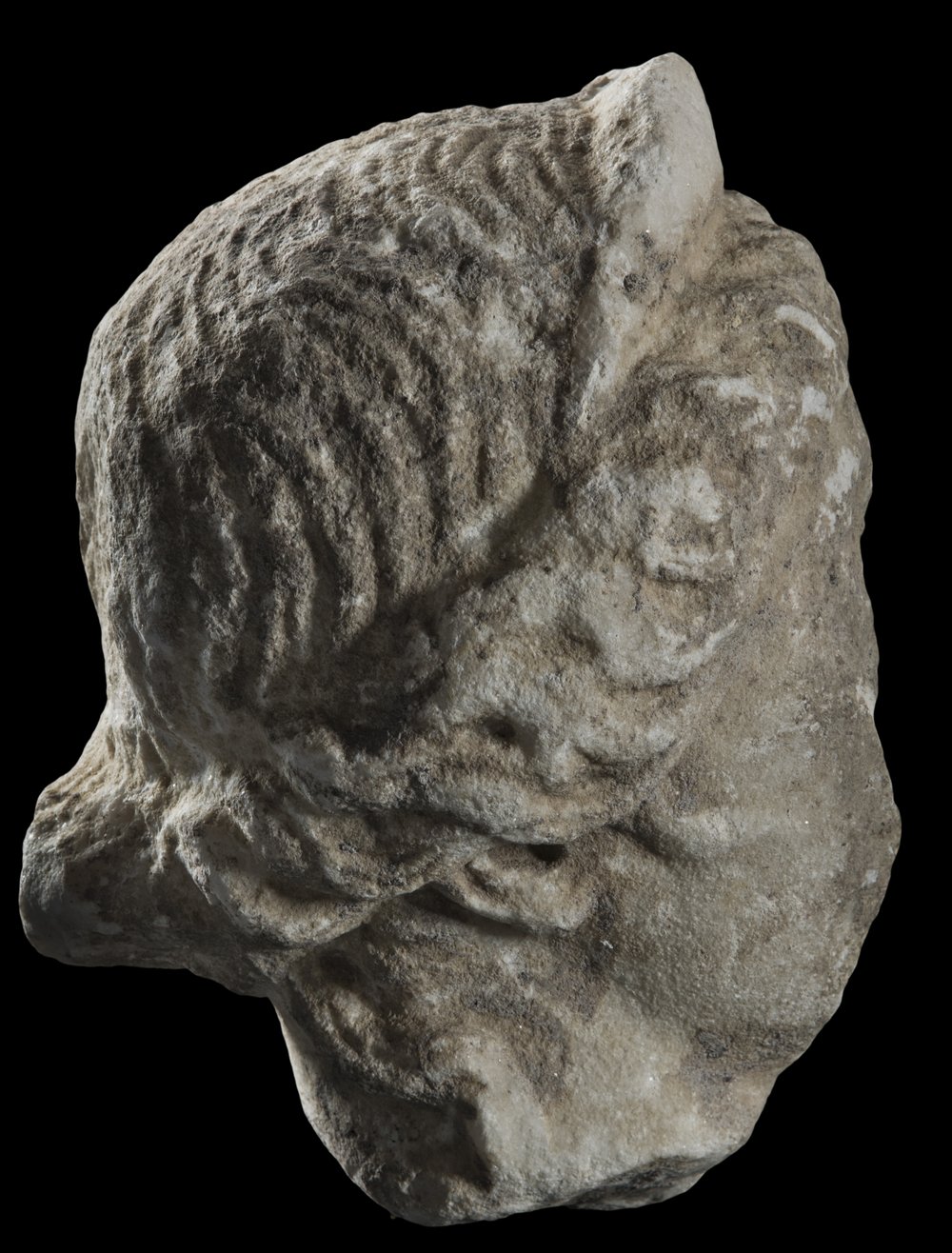 Inv 486549_07.jpg