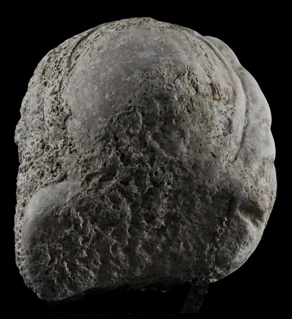 Inv 486717_04.jpg