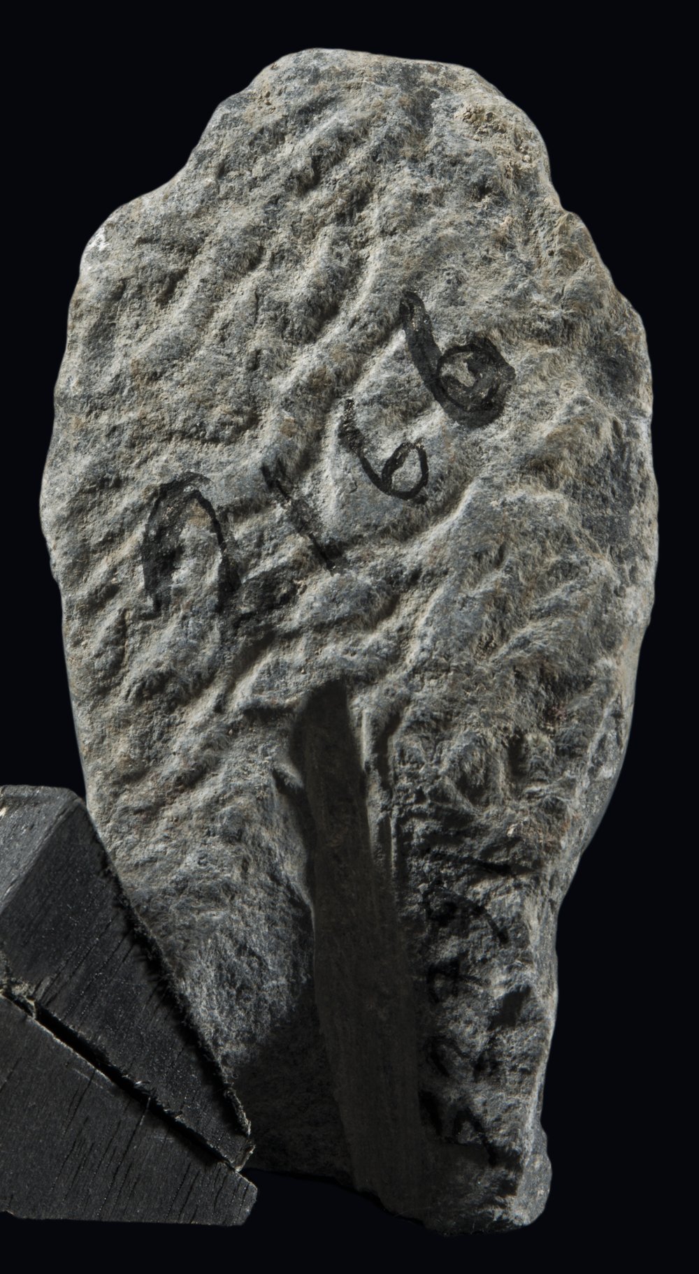 Inv 52791_03.jpg