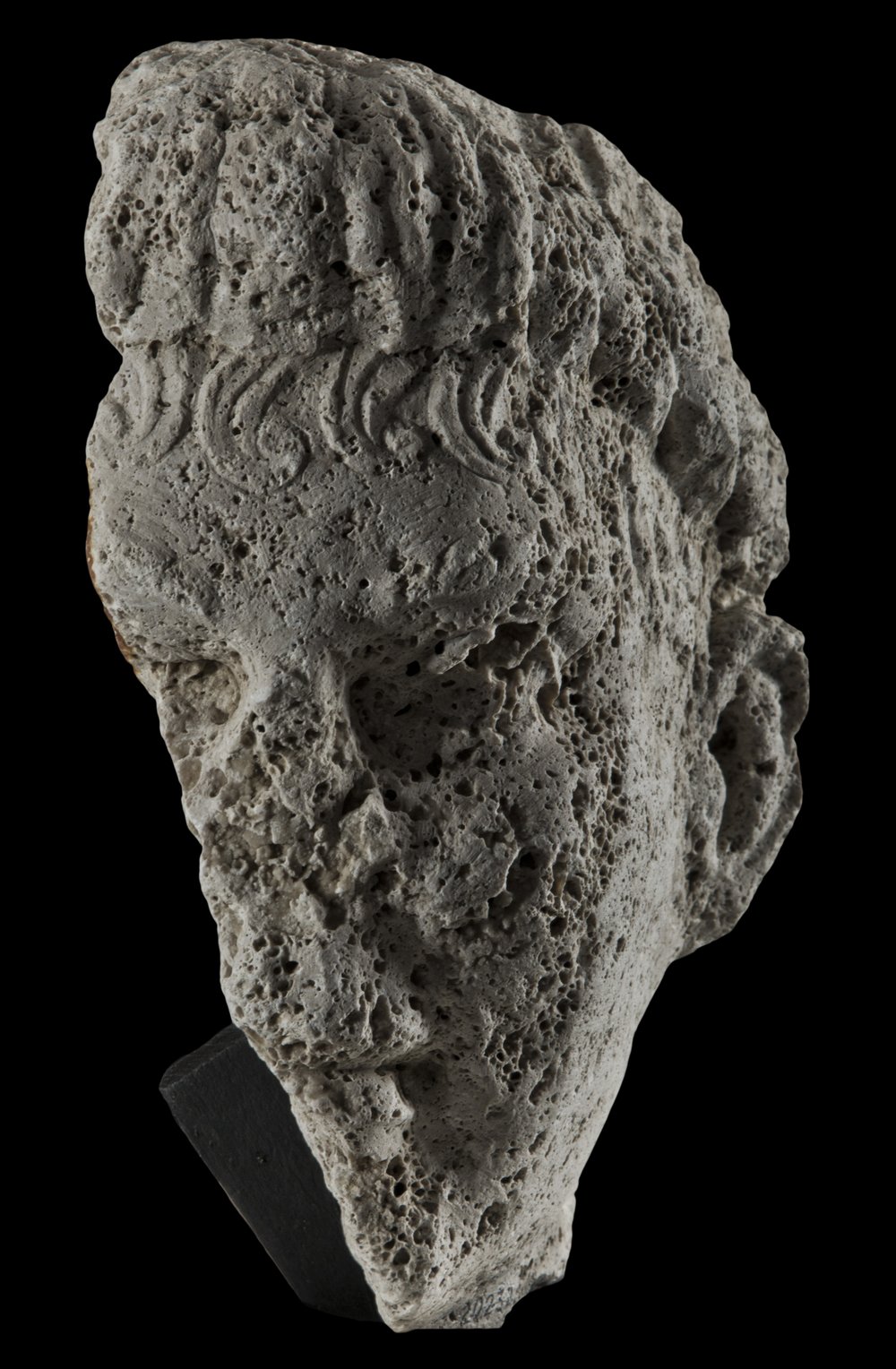 Inv 486538_00.jpg