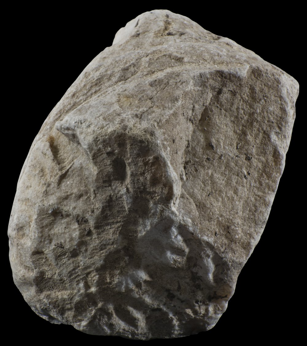 Inv 52764_03.jpg