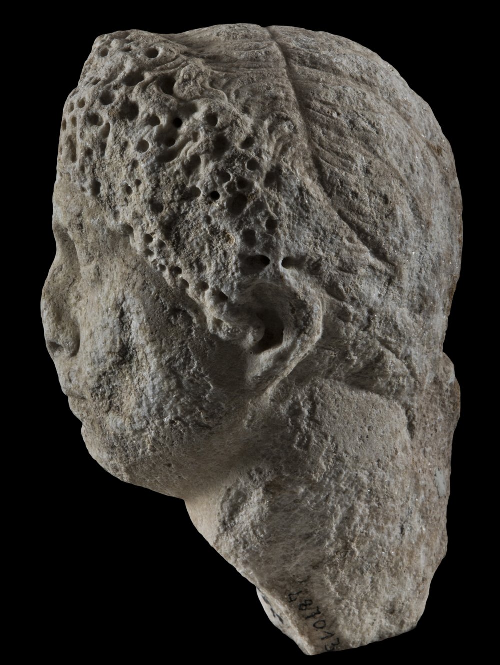 Inv 487013_08.jpg
