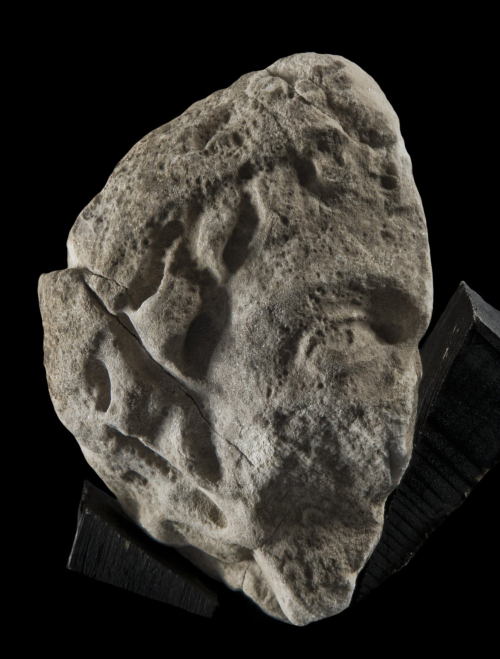 Inv 373419_00.jpg