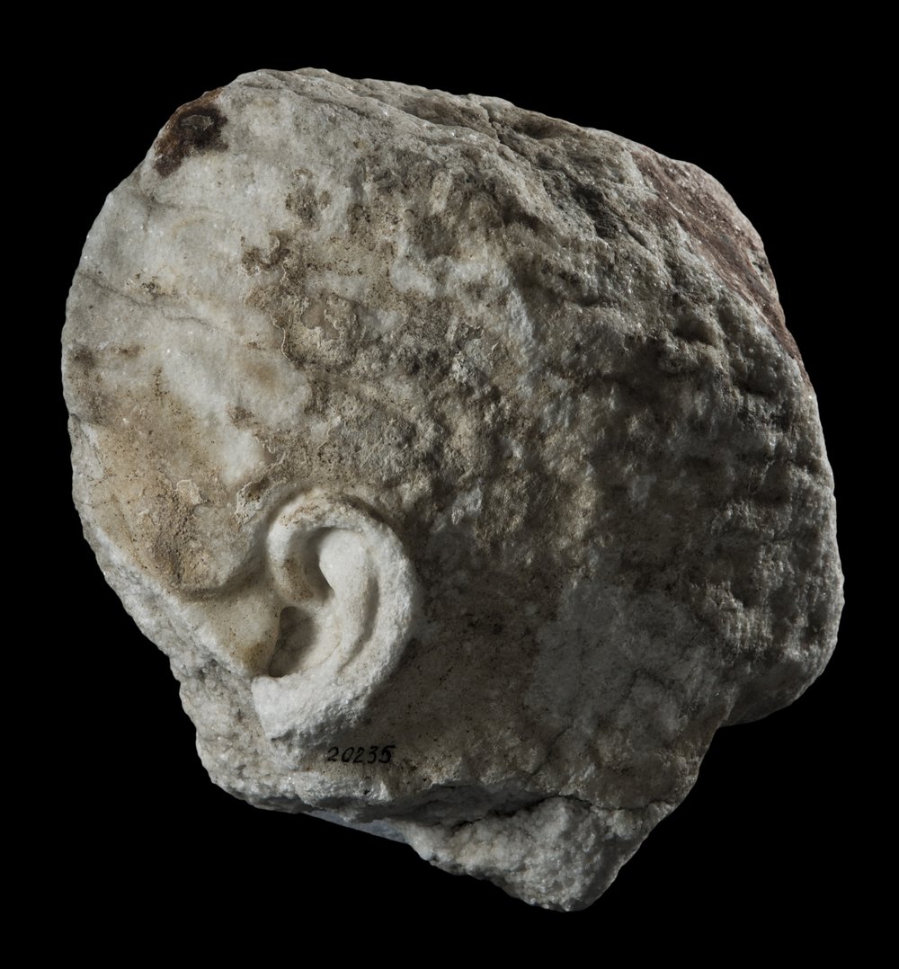 Inv 486541_01.jpg