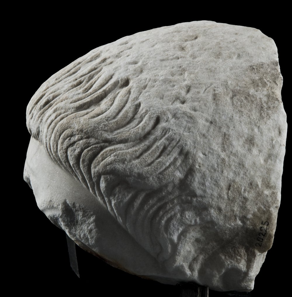Inv 486531_02.jpg