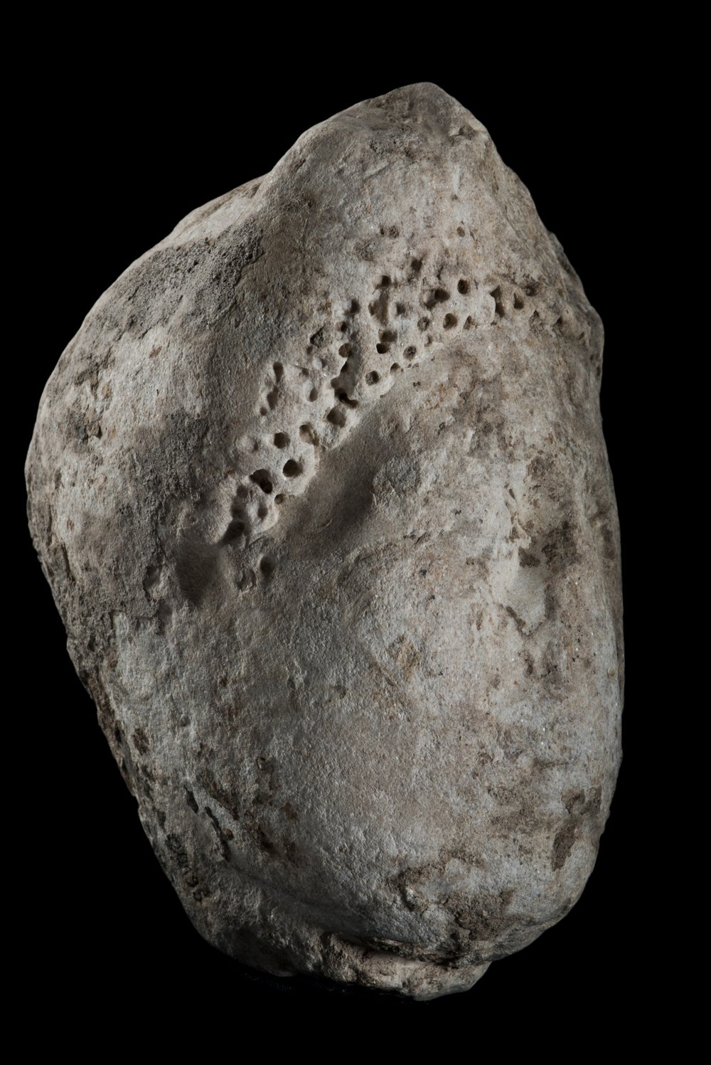 Inv 486501_06.jpg
