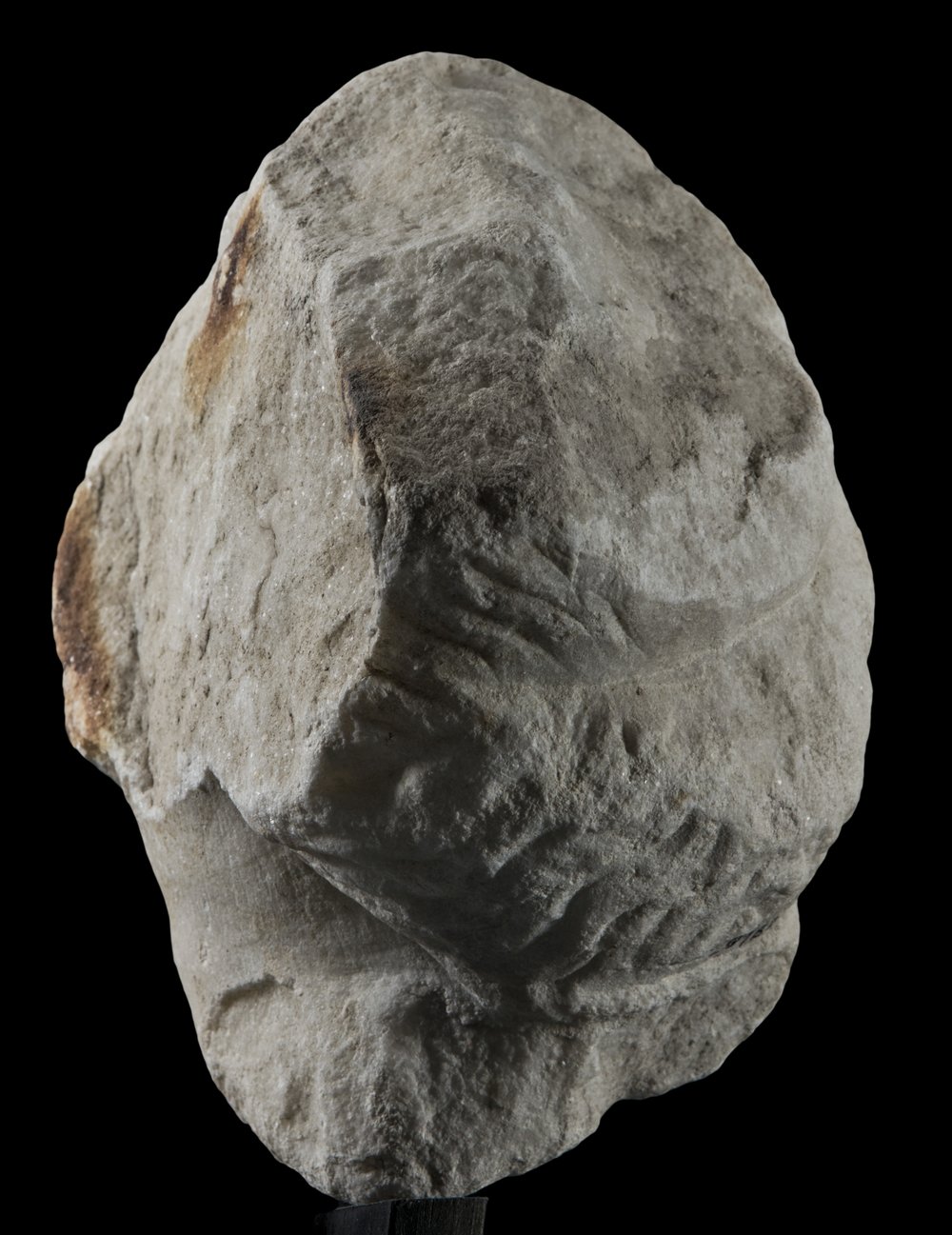 Inv 486488_04.jpg