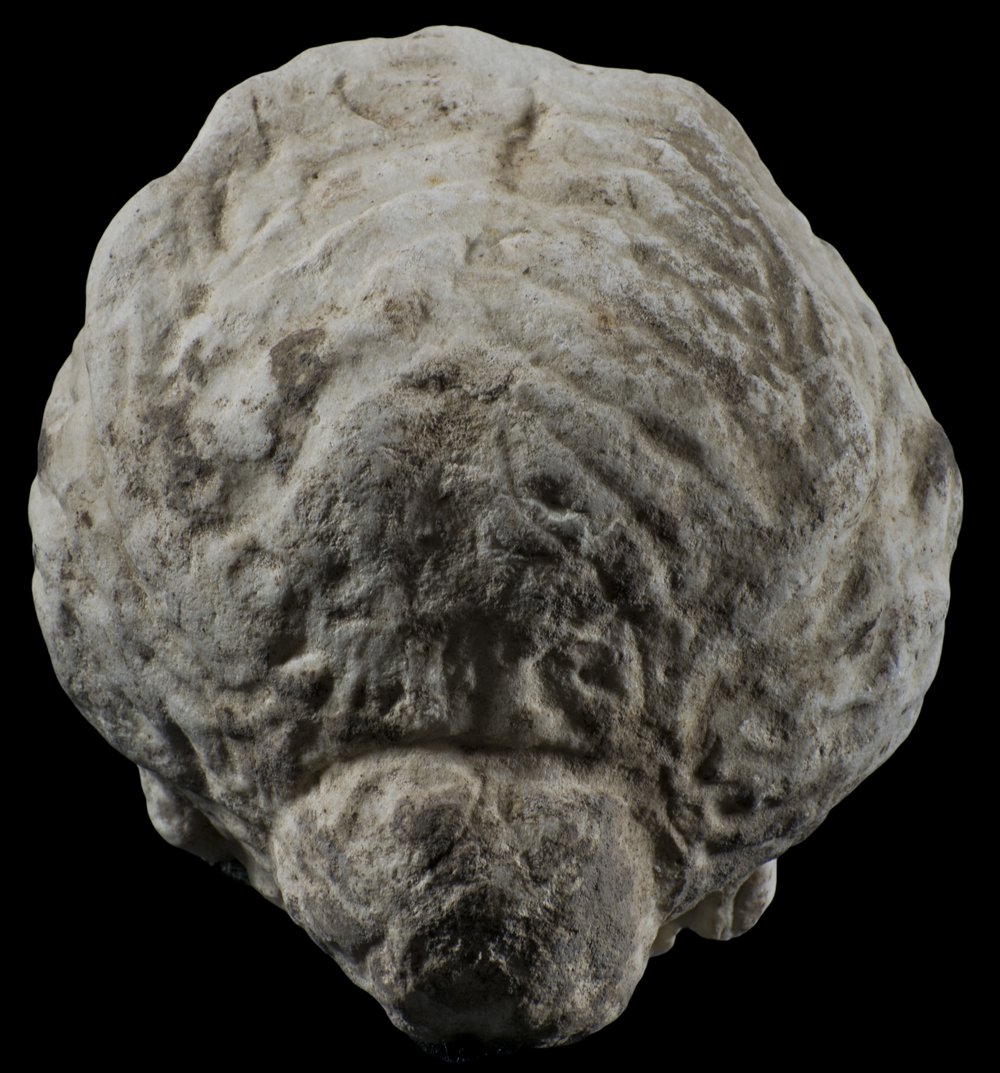 Inv 52769_04.jpg