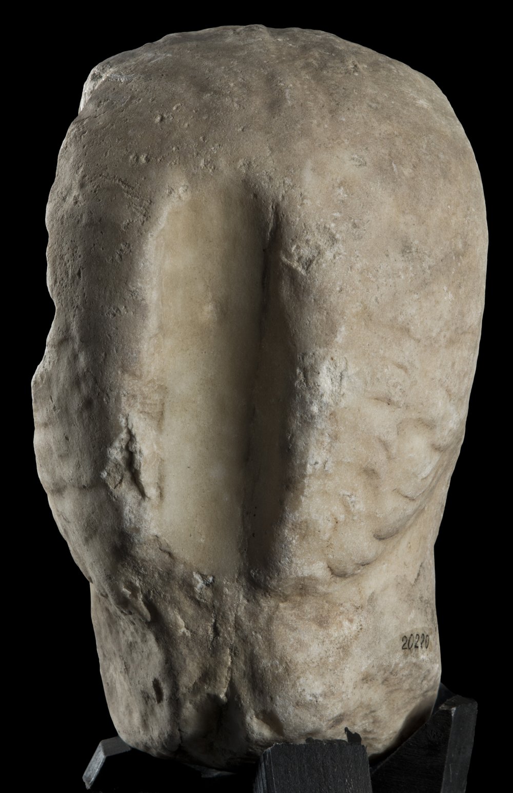 Inv 486526_03.jpg