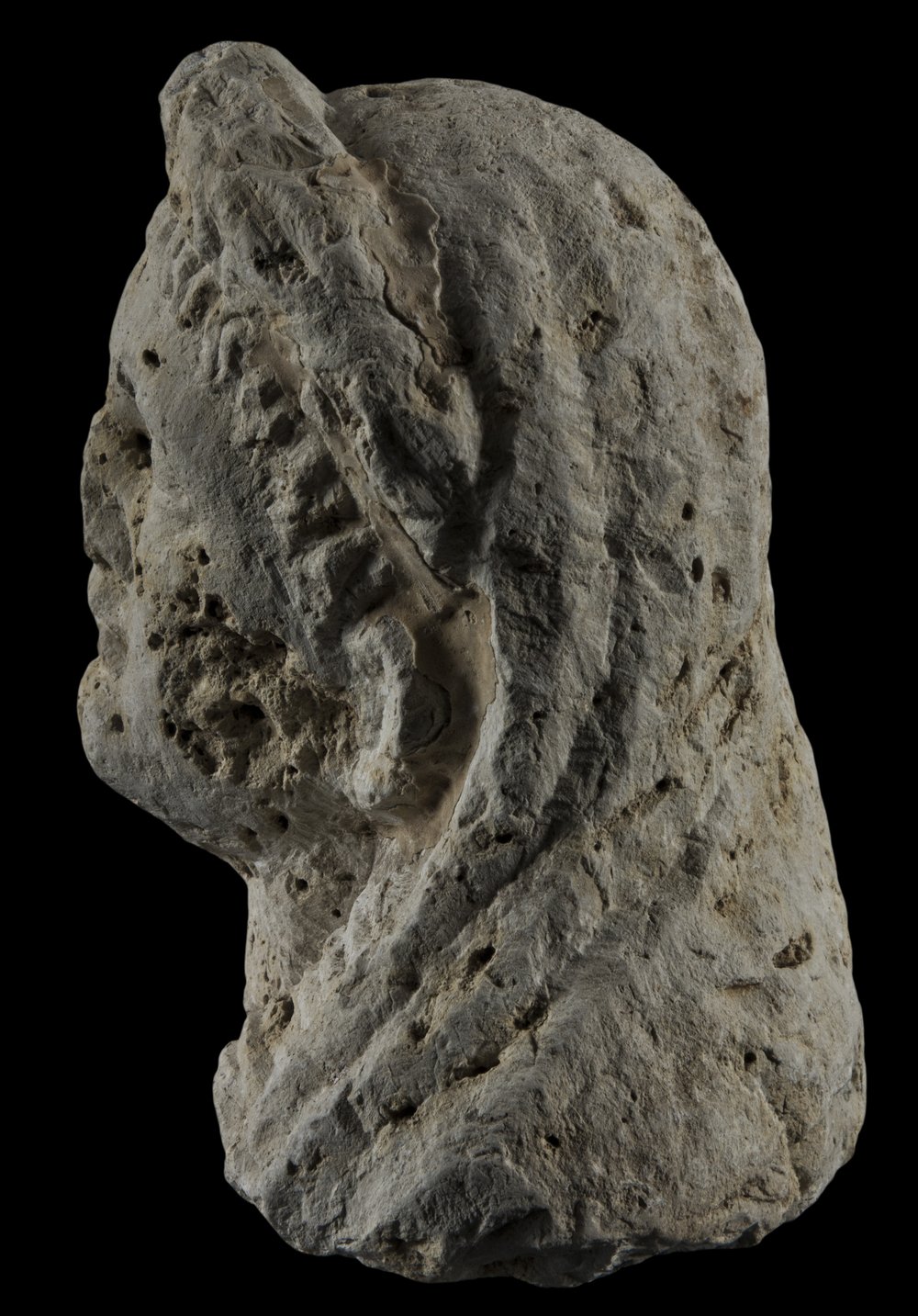Inv 373640_05.jpg