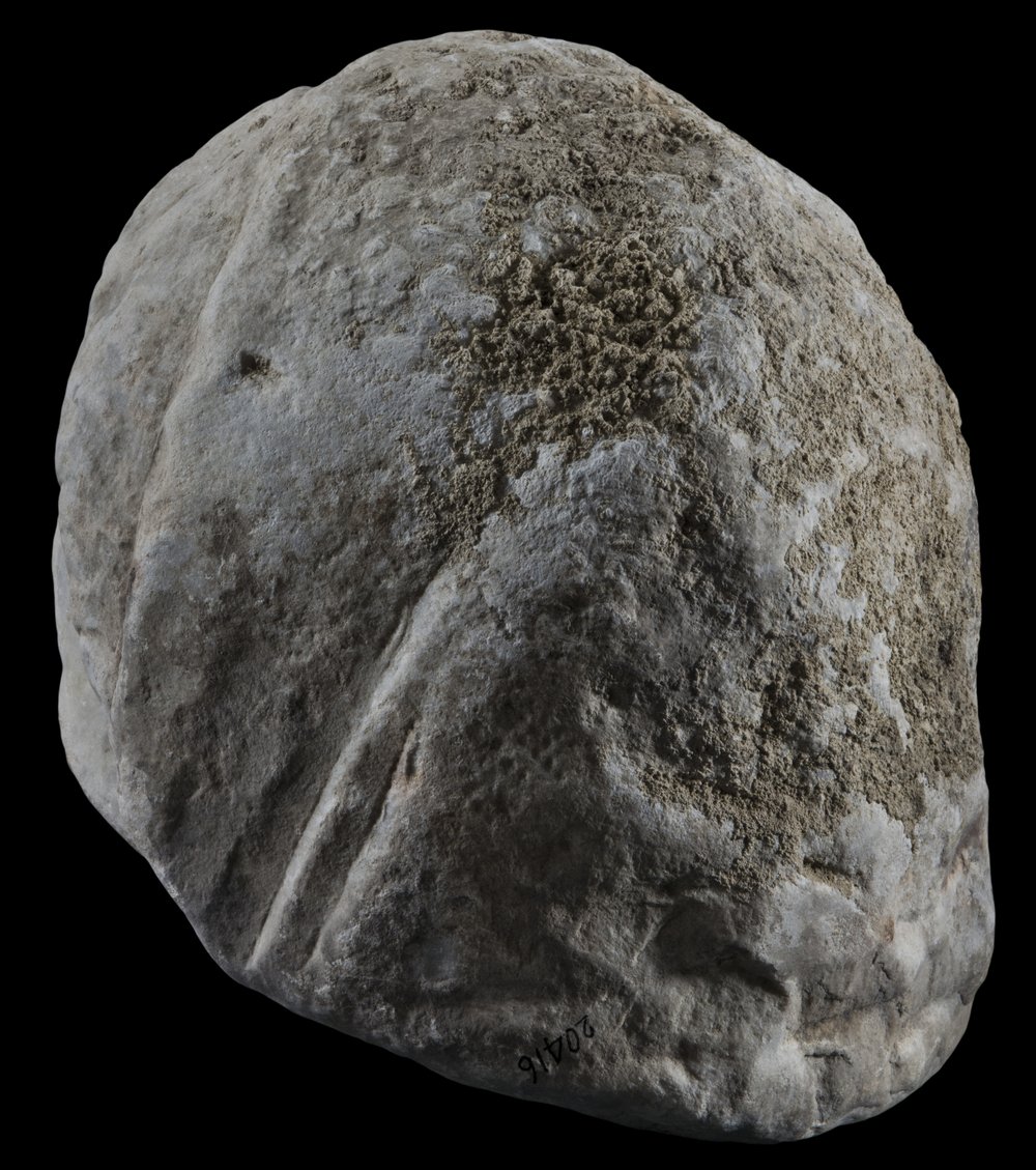 Inv 486721_05.jpg