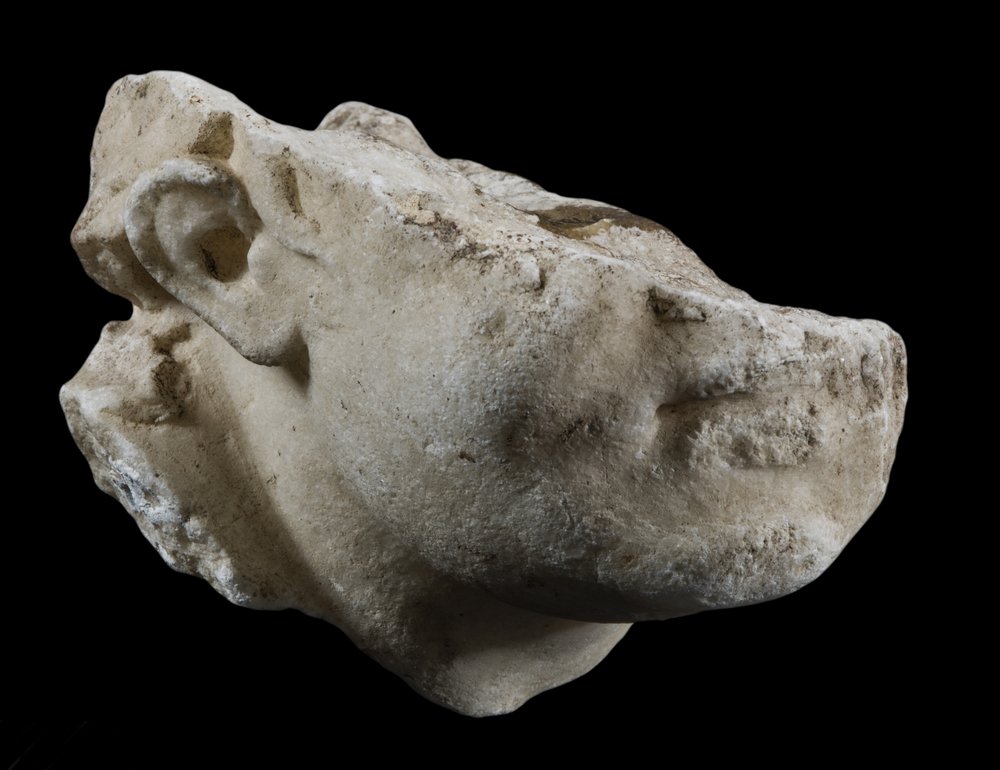 Inv 381946_01.jpg