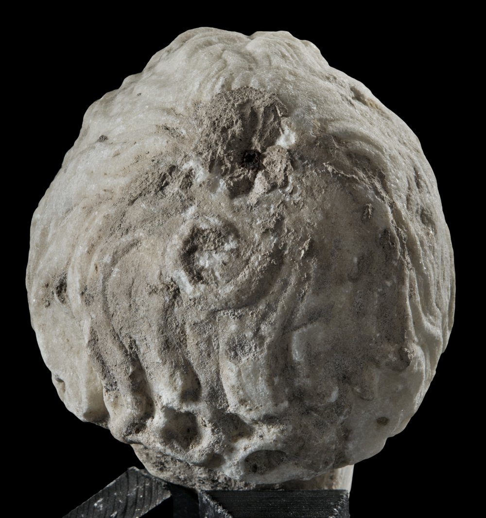 Inv 373620_04.jpg
