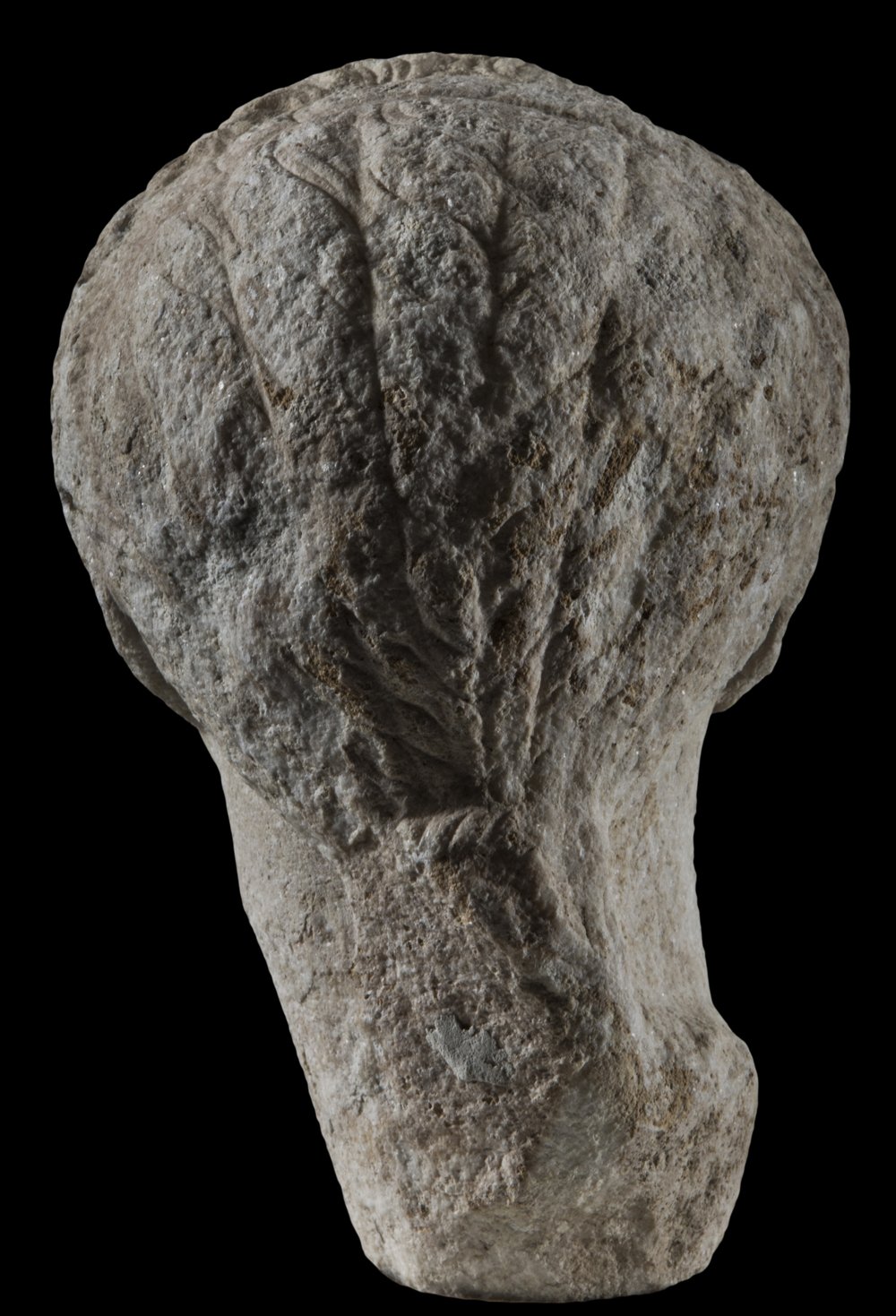 Inv 487013_06.jpg