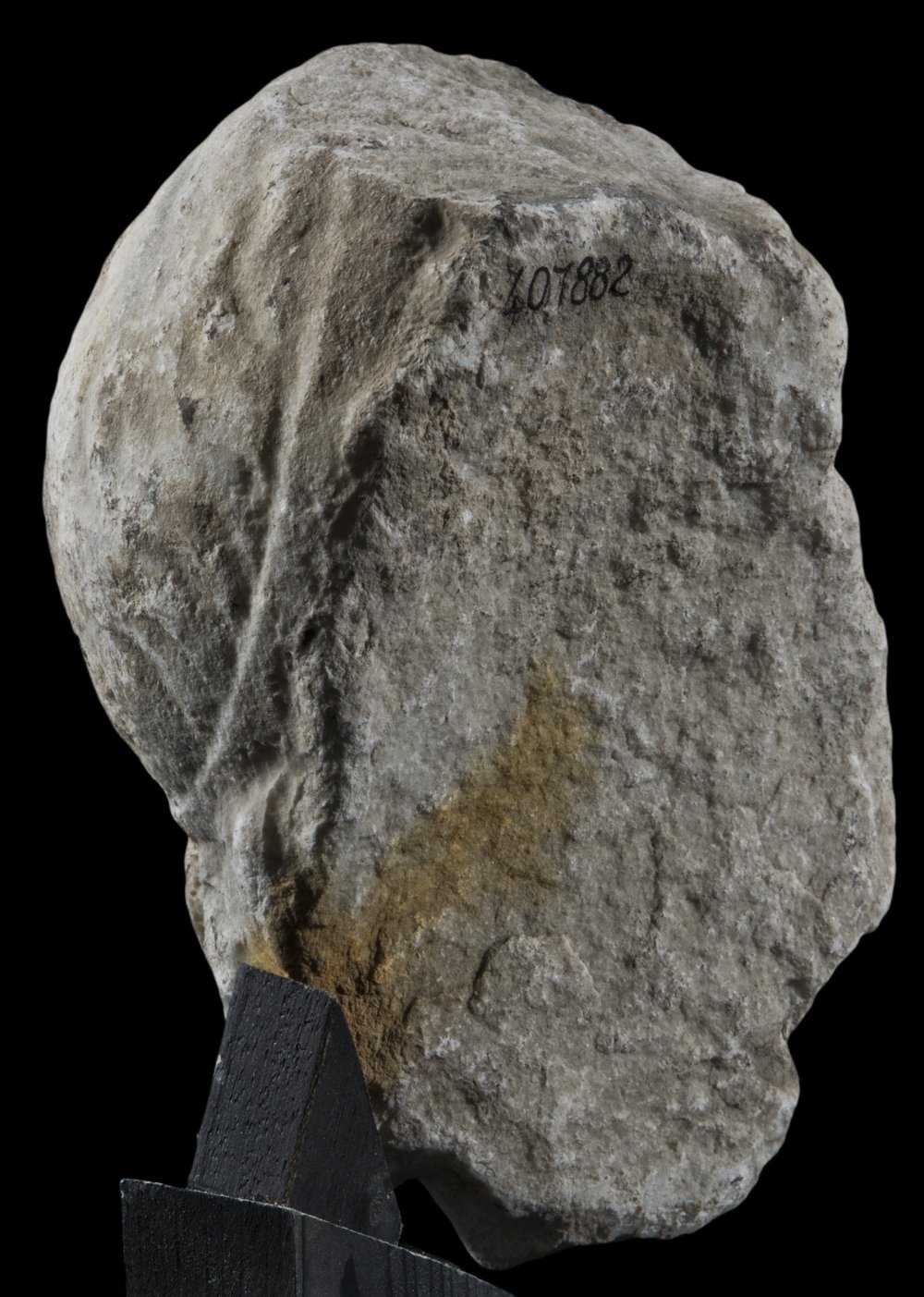 Inv 407882_05.jpg