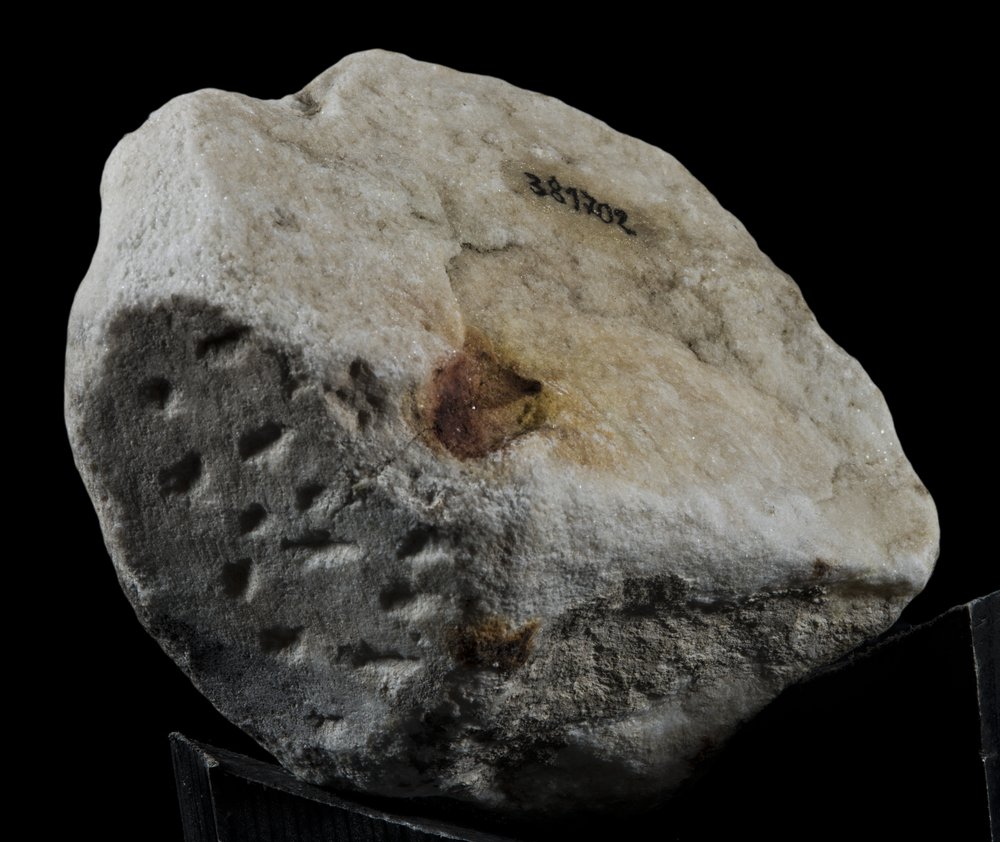 Inv 381702_03.jpg