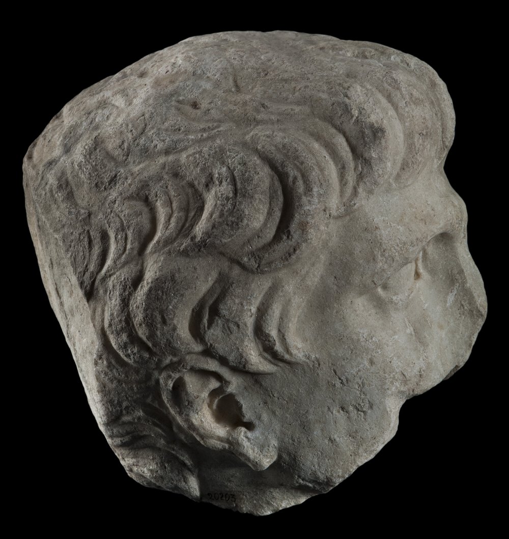 Inv 486509_05.jpg