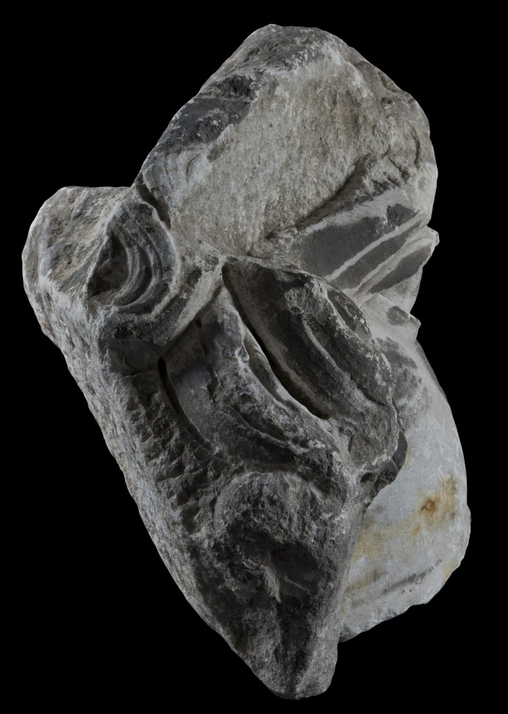 Inv 486723_02.jpg