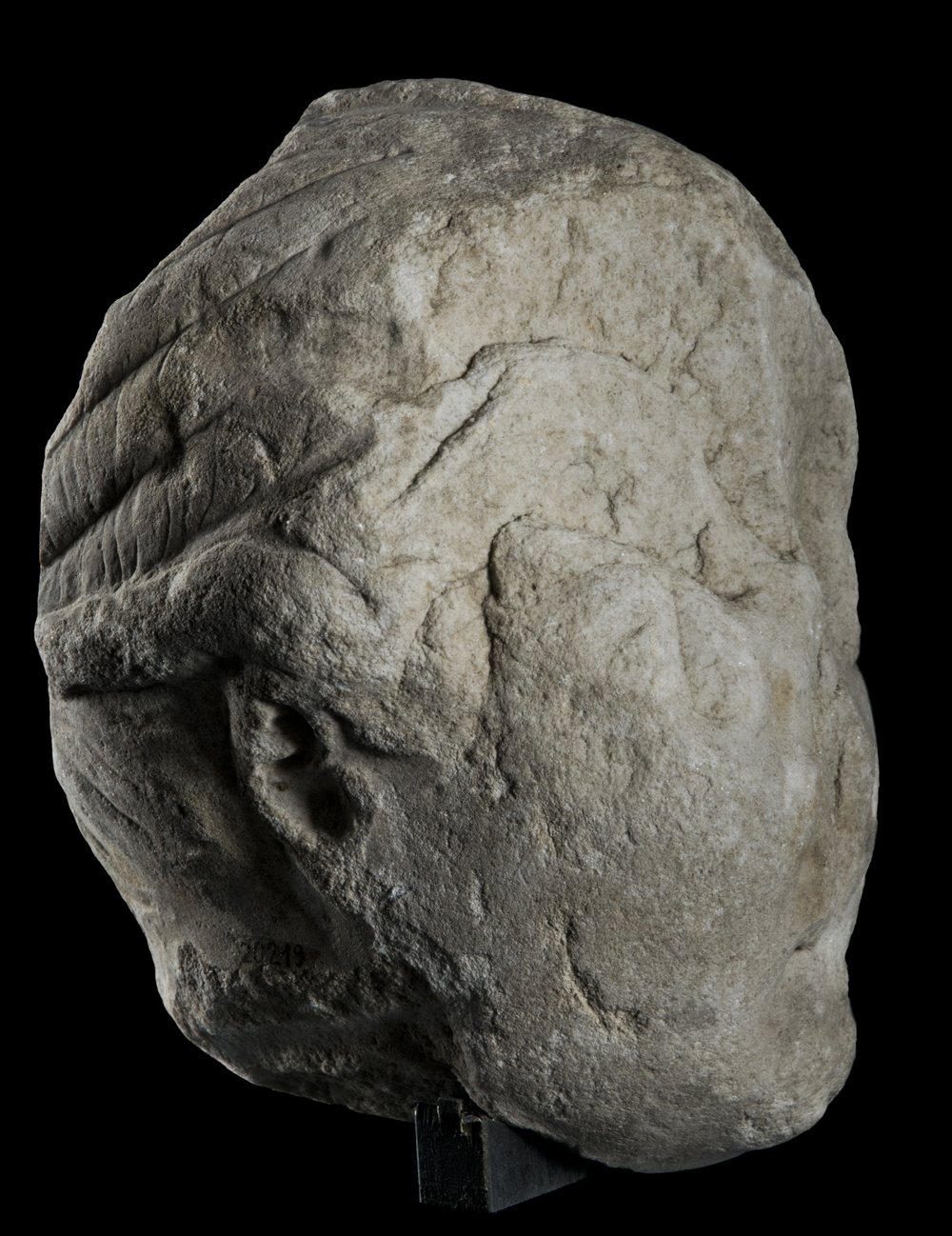 Inv 486525_05.jpg