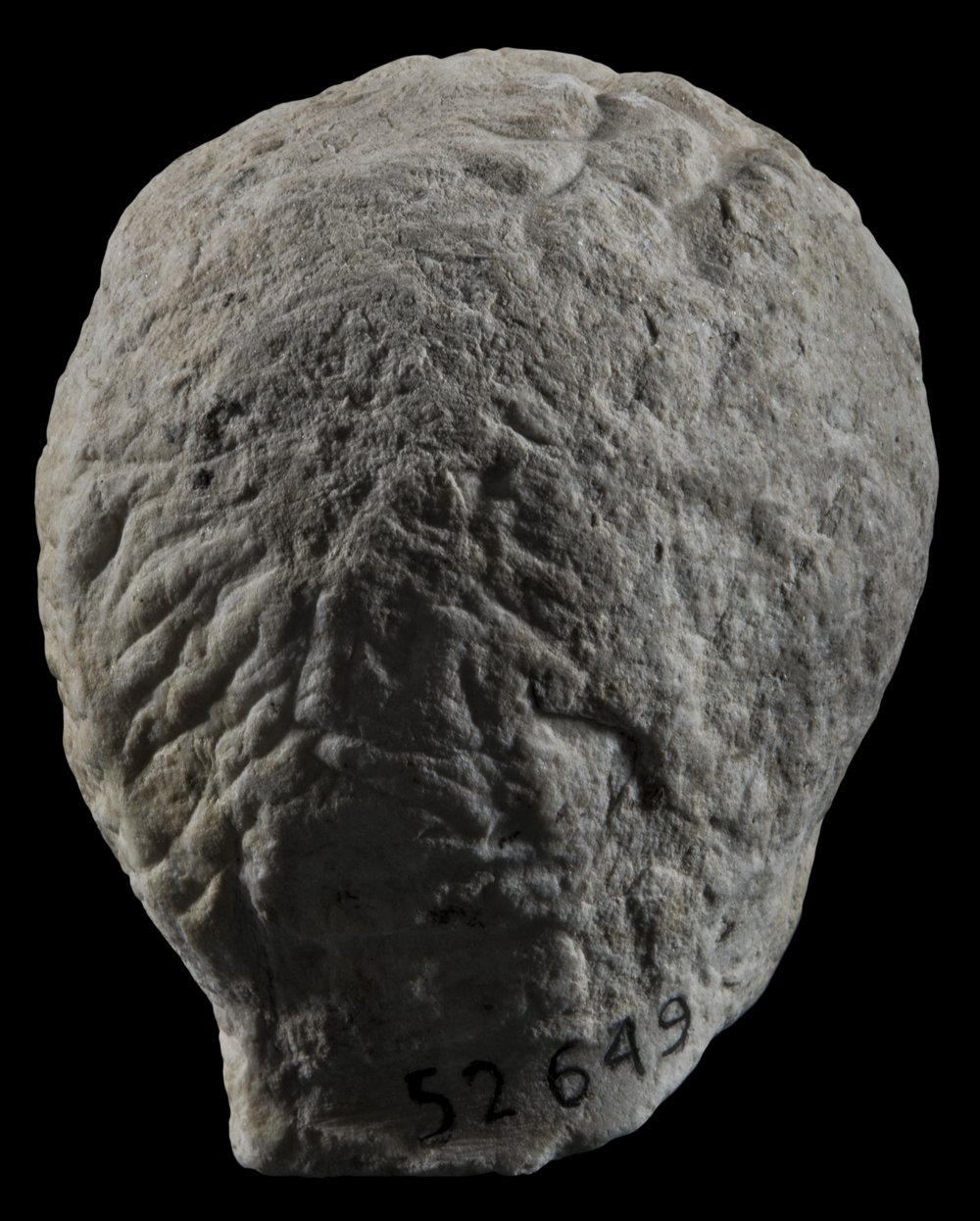 Inv 52649_04.jpg