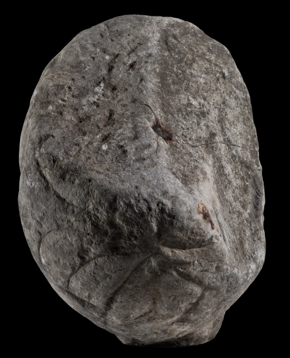 Inv 486517_05.jpg