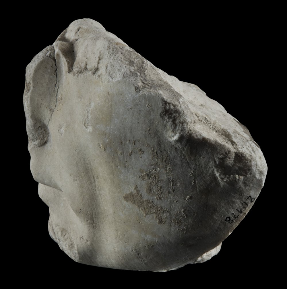 Inv 486484_04.jpg