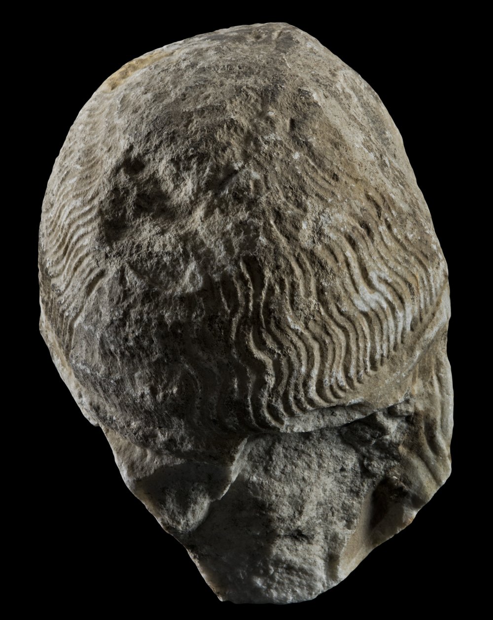 Inv 486726_03.jpg