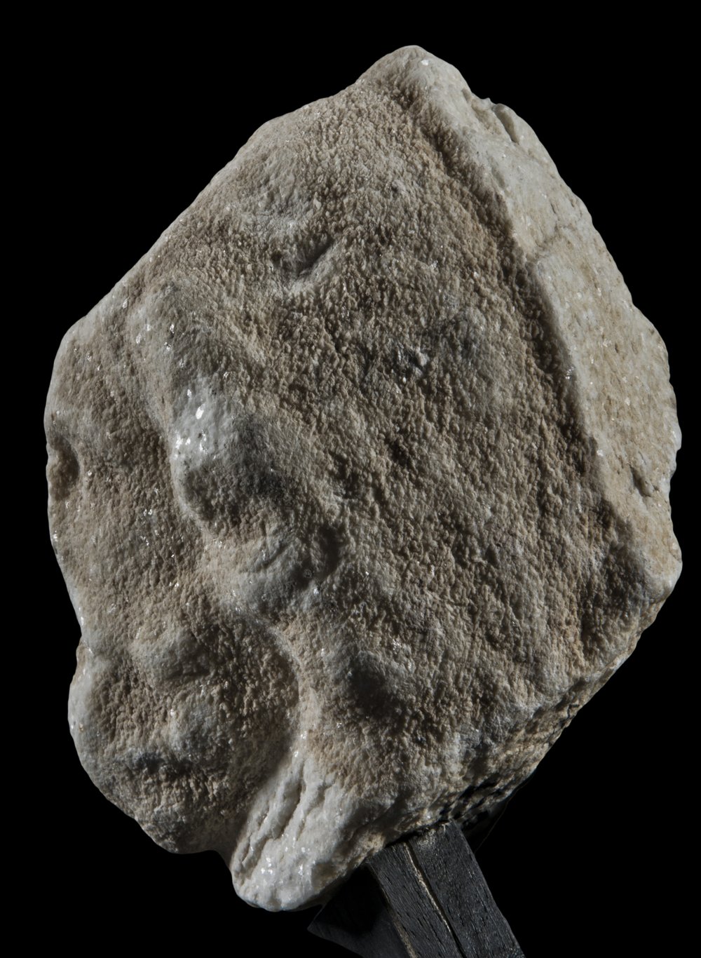 Inv 52637_04.jpg