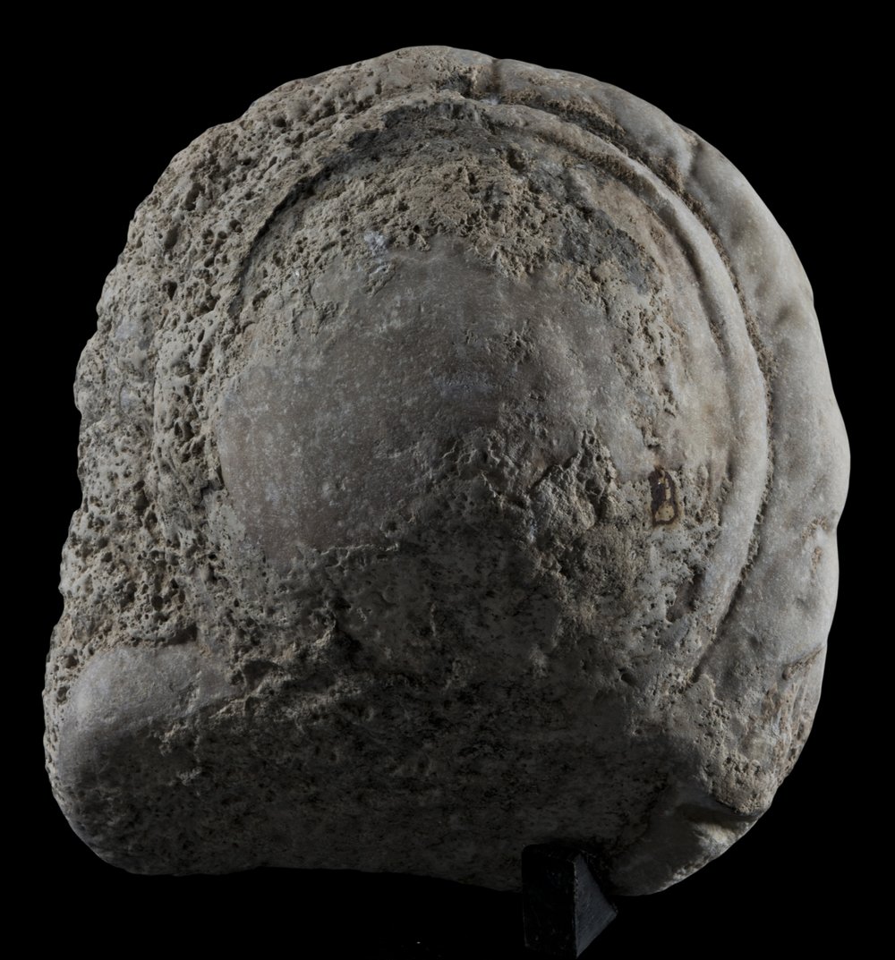 Inv 486717_05.jpg