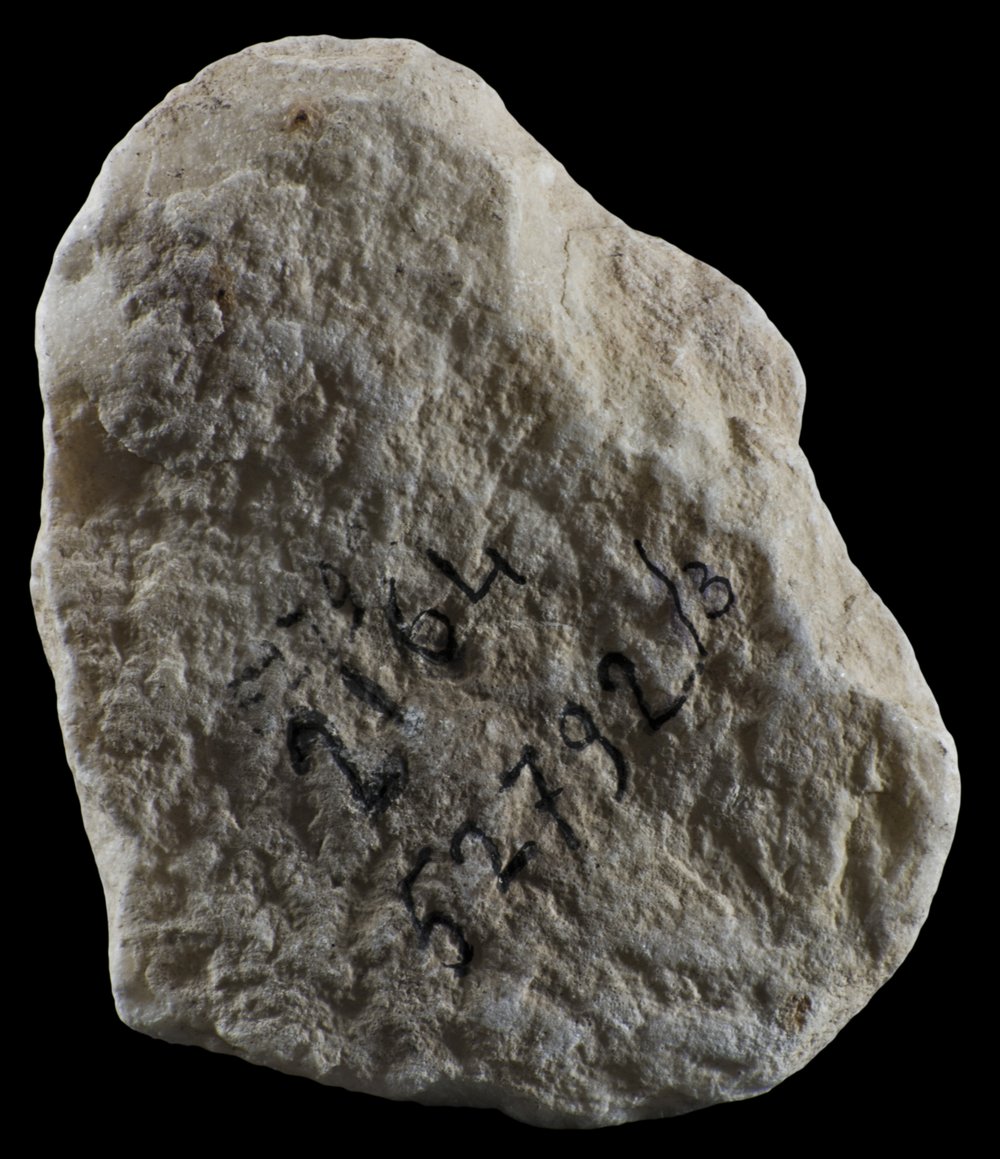 Inv 52792_3_03.jpg