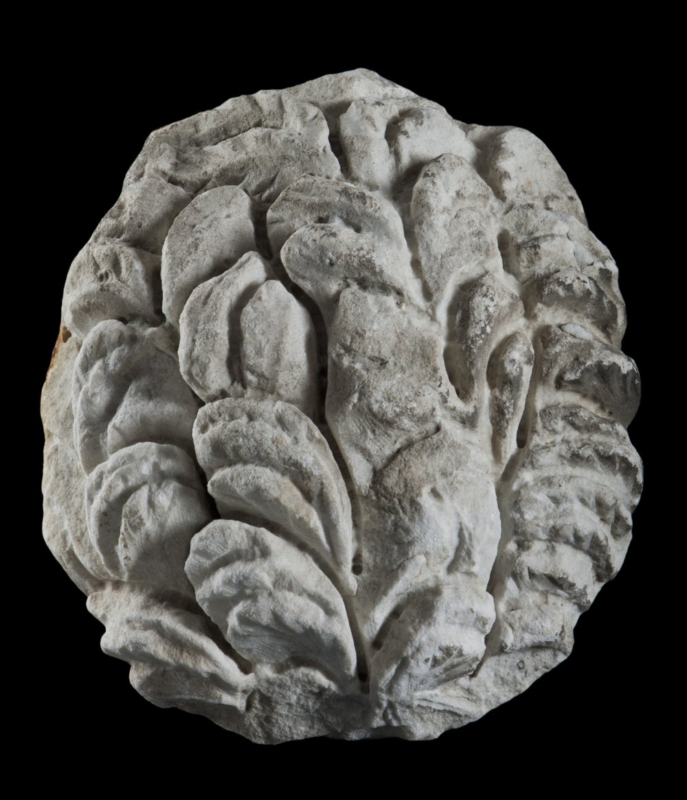 Inv 486503_01.jpg