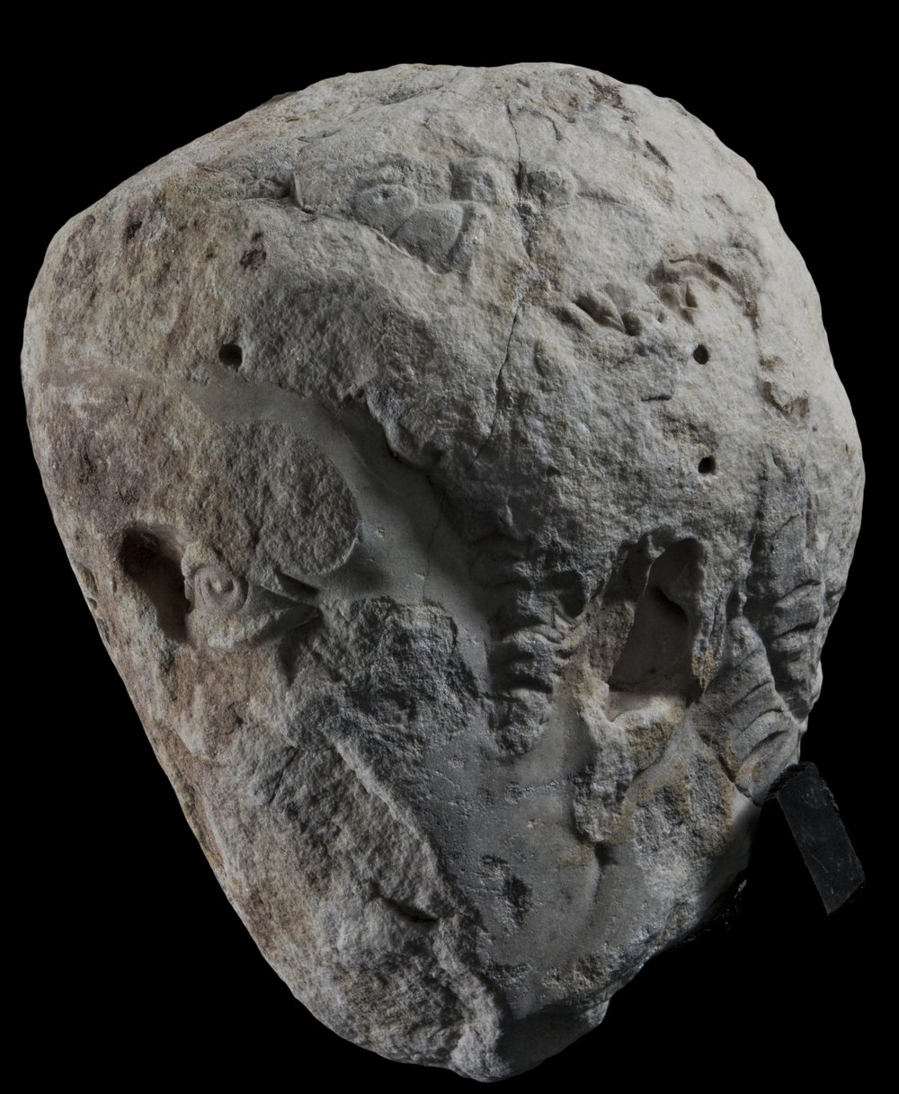 Inv 486720_01.jpg