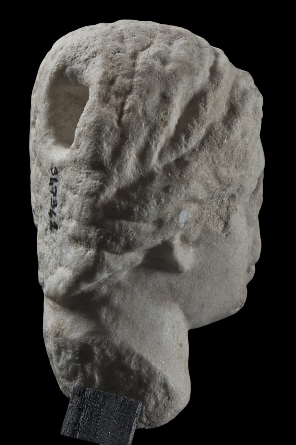 Inv 347342_03.jpg