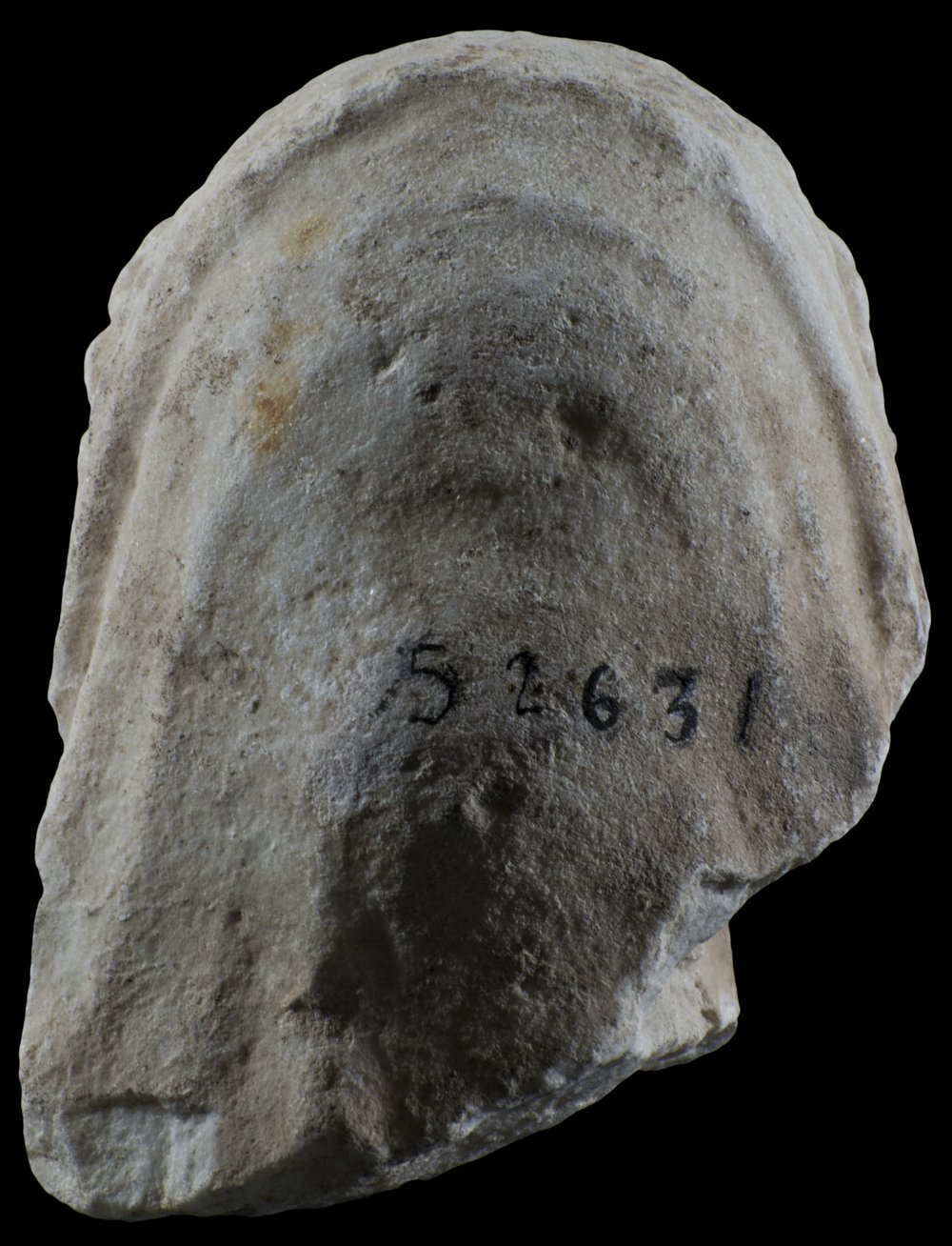 Inv 52631_04.jpg