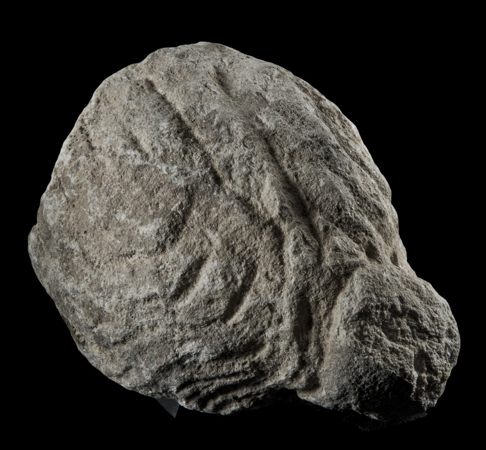 Inv 486547_03.jpg