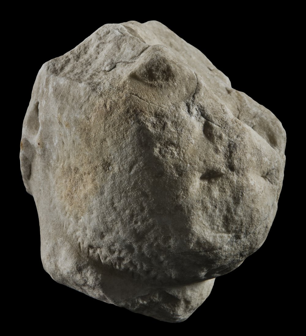 Inv 486482_01.jpg