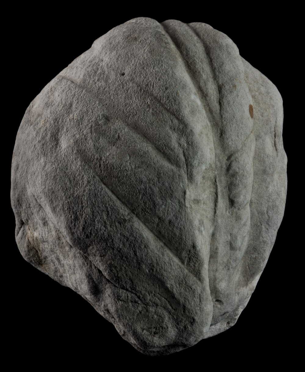 Inv 486515_03.jpg