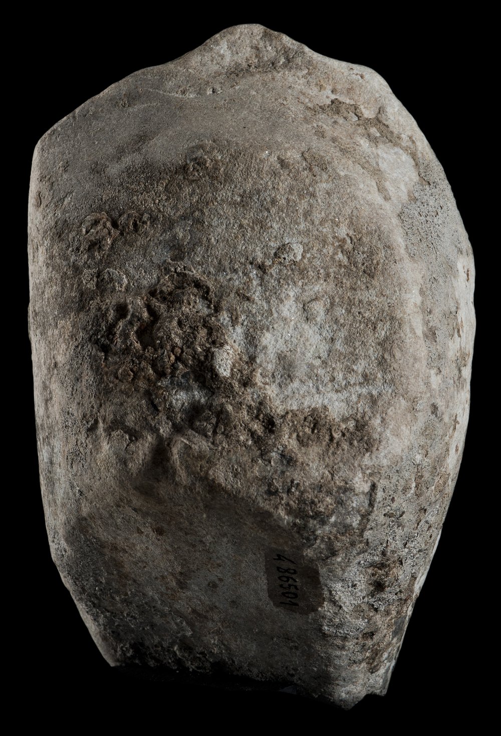 Inv 486501_04.jpg