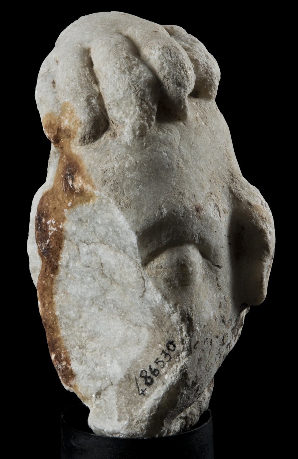 Inv 486530_00.jpg