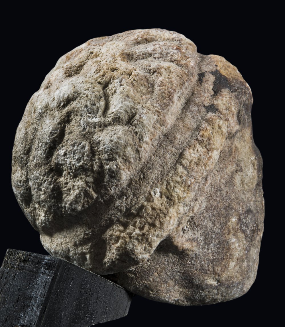 Inv 2221_03.jpg